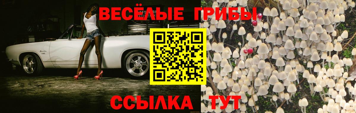 Нижневартовск  Галлюциногенные грибы мухоморы  Вход с VPN 